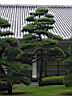 IMG_6091.JPG