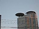 IMG_6202.JPG