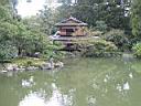 IMG_6249.JPG