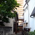IMG_6601