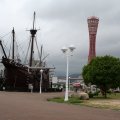 IMG_6689