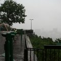 IMG_6786