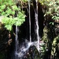 IMG_6631