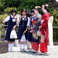 IMG_6603 | Comments: 2