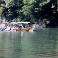 IMG_6641