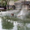 IMG_6742