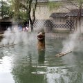 IMG_6743