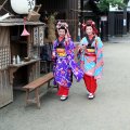 IMG_6744