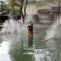 IMG_6743