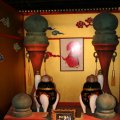 IMG_6776