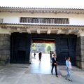 IMG_9361