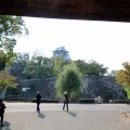 IMG_9362