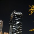 IMG_9388