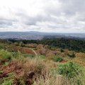 IMG_9432