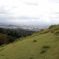 IMG_9444
