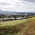 IMG_9445
