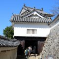 IMG_9494