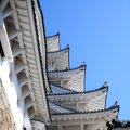 IMG_9495