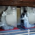 IMG_9503