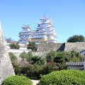 IMG_9506