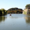 IMG_9507