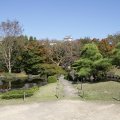 IMG_9530