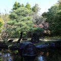 IMG_9533