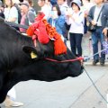 IMG_9632
