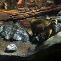 IMG_9728