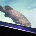 IMG_9765