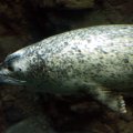IMG_9769