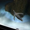 IMG_9777
