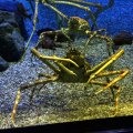 IMG_9781