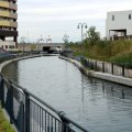 IMG_9801