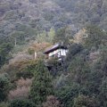IMG_0003