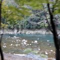 IMG_0006