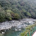 IMG_0008