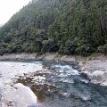 IMG_0011