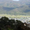 IMG_9946