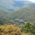 IMG_9954