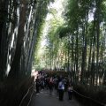 IMG_9975