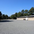 IMG_0022