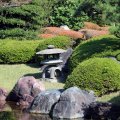 IMG_0044
