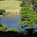 IMG_0105