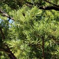 IMG_0119
