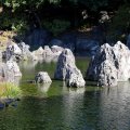 IMG_0120