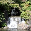 IMG_0125