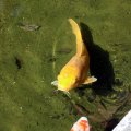 IMG_0138