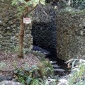 IMG_0151
