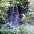 IMG_0153